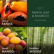 Load image into Gallery viewer, Papaya Leaf &amp;amp; Bamboo 3-Wick Candle
