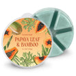 Load image into Gallery viewer, Papaya Leaf &amp;amp; Bamboo Wax Melt
