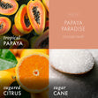 Load image into Gallery viewer, Papaya Paradise 3-Wick Candle
