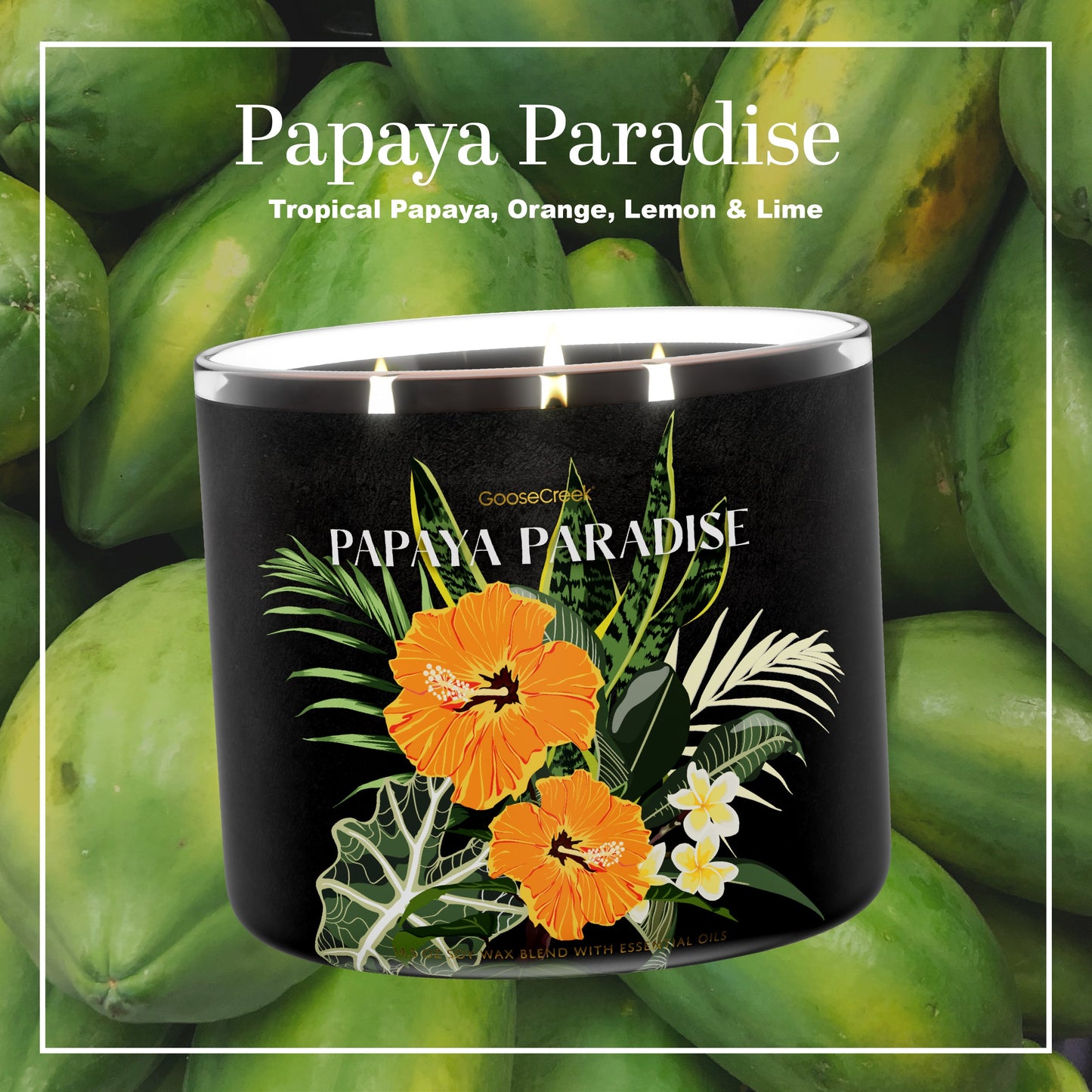 Papaya Paradise Large 3-Wick Candle