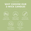 Load image into Gallery viewer, Paradise Garden 3-Wick Candle
