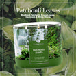 Load image into Gallery viewer, Patchouli Leaves 3-Wick Candle
