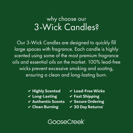 Patchouli Leaves 3-Wick Candle