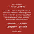 Load image into Gallery viewer, Peppermint 3-Wick Candle
