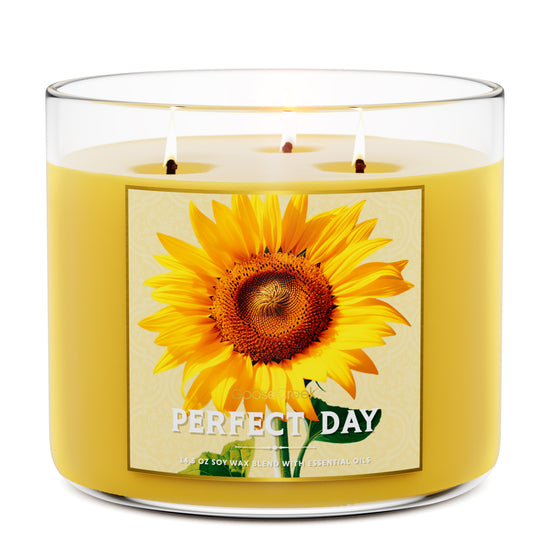 Perfect Day 3-Wick Candle