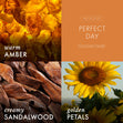 Load image into Gallery viewer, Perfect Day Wax Melt
