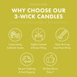 Load image into Gallery viewer, Pistachio Biscotti 3-Wick Candle
