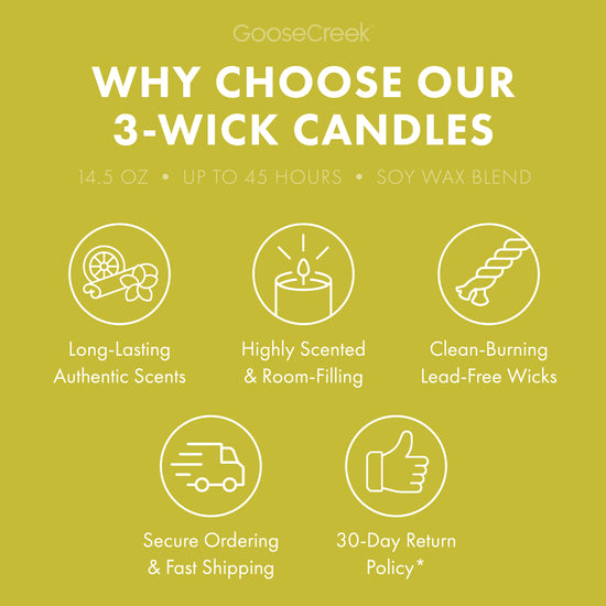 Pistachio Biscotti 3-Wick Candle