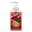 Load image into Gallery viewer, Pomegranate Cran-apple Lush Foaming Hand Soap
