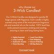 Load image into Gallery viewer, Pumpkin Hard Cider 3-Wick Candle
