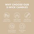 Pumpkin Pecan S'mores 3-Wick Candle