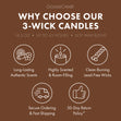 Pumpkin Pie 3-Wick Candle
