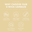 Pumpkin Sugar Cookie Large 3-Wick Candle
