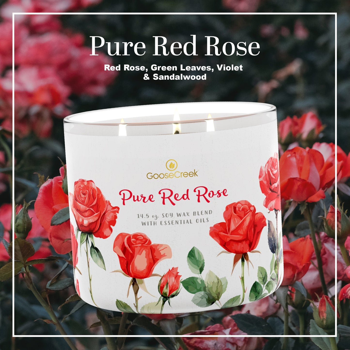 Pure Red Rose 3-Wick Candle