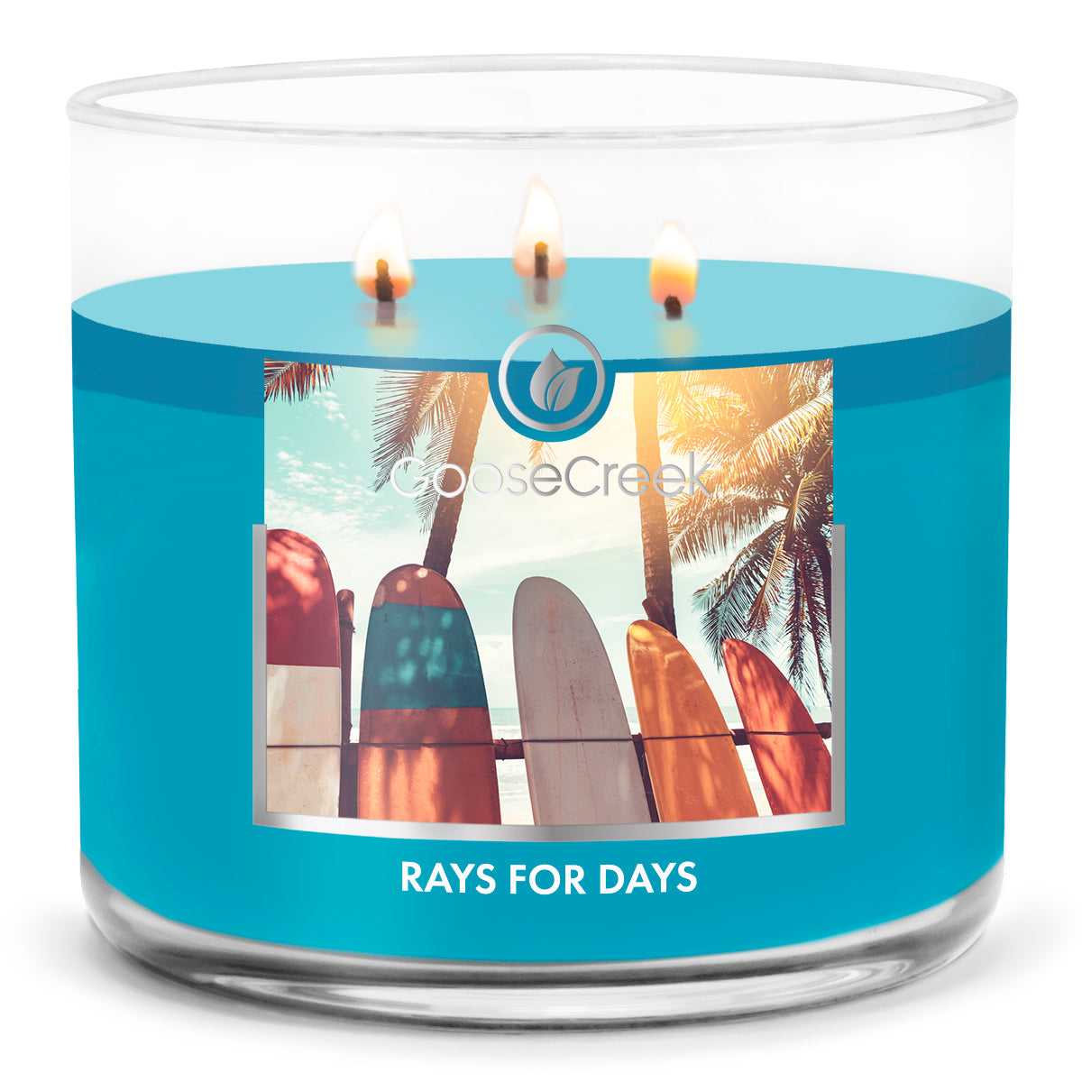 Load image into Gallery viewer, Rays for Days Large 3-Wick Candle
