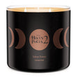 Load image into Gallery viewer, Salem Forest 3-Wick Hocus Pocus 2 Candle
