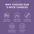 Load image into Gallery viewer, Sandy Cheeks 3-Wick Candle

