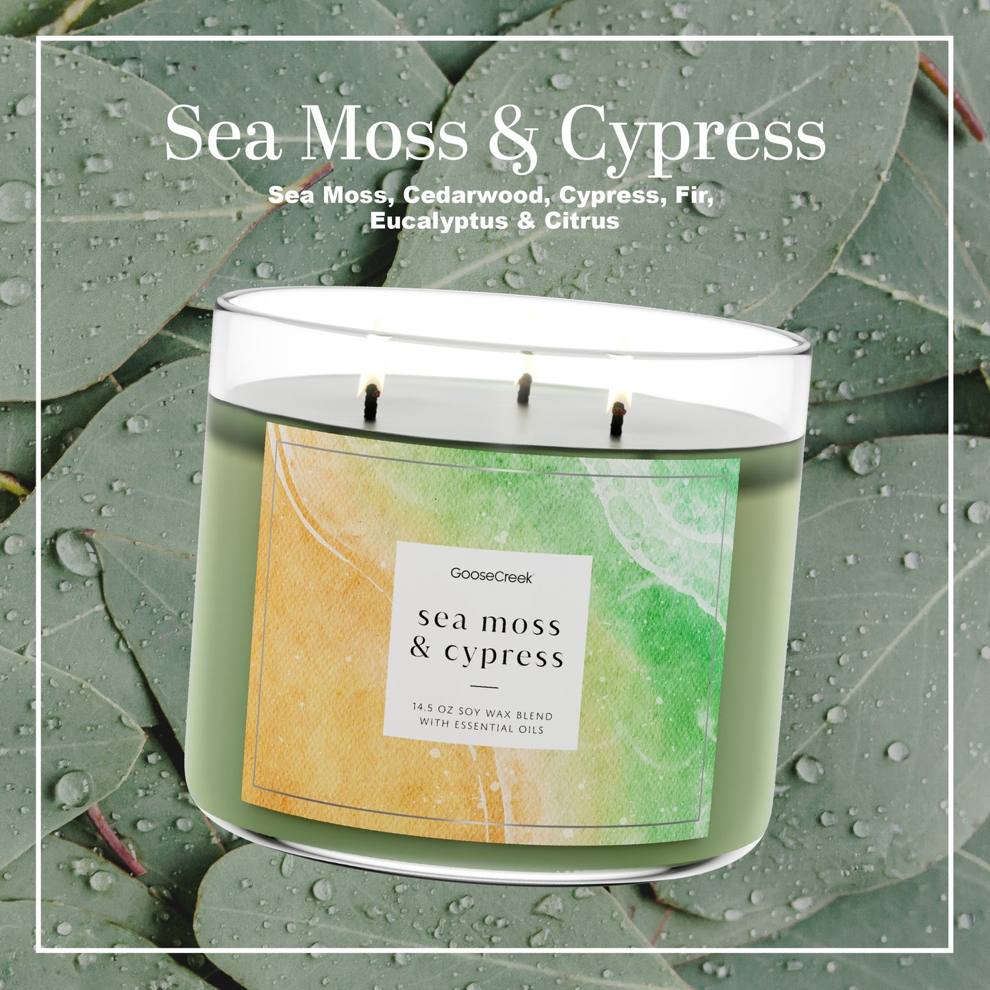 Sea Moss & Cypress 3-Wick Candle