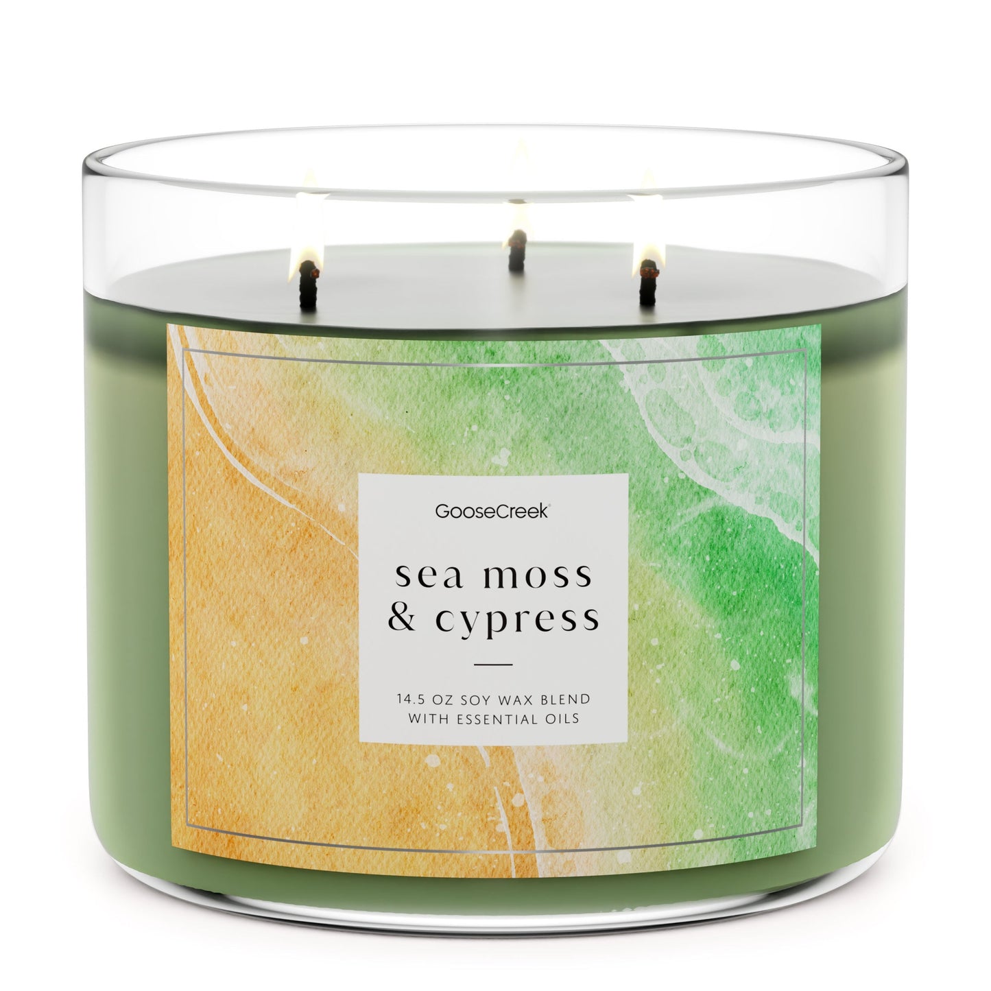 Sea Moss & Cypress 3-Wick Candle