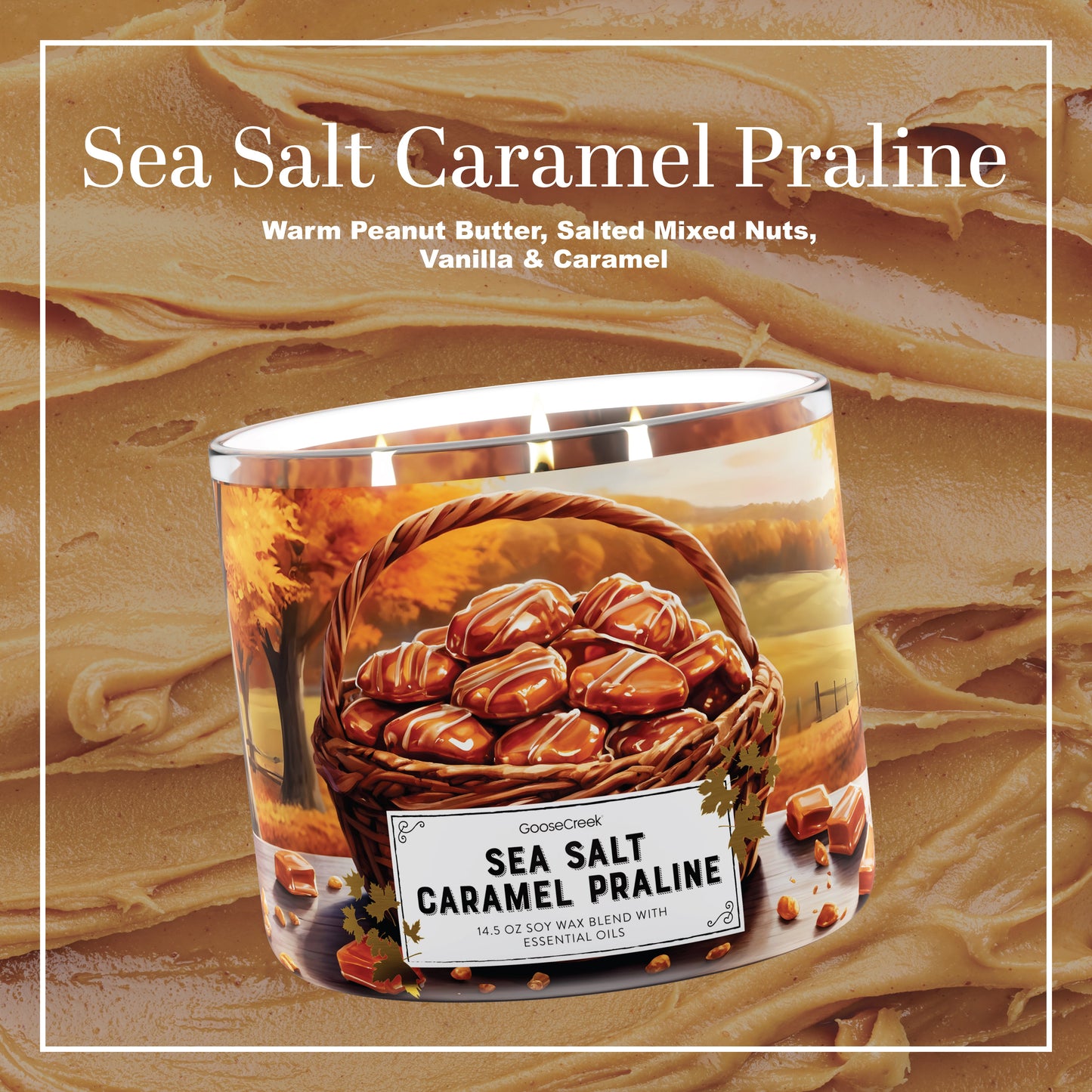 Sea Salt Caramel Praline 3-Wick Candle