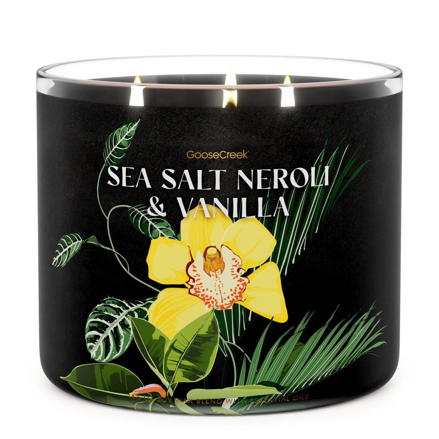 Sea Salt Neroli & Vanilla Large 3-Wick Candle
