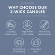 Load image into Gallery viewer, Skillet Blueberry Cobbler 3-Wick Candle
