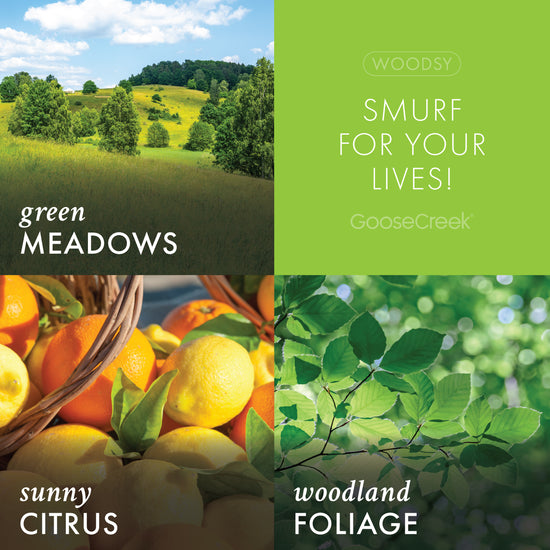 Smurf for your Lives! - The Smurfs