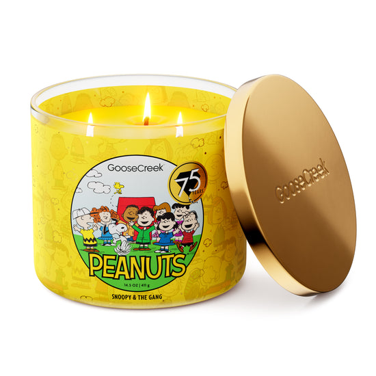 Snoopy & the Gang 3-Wick Peanuts Candle