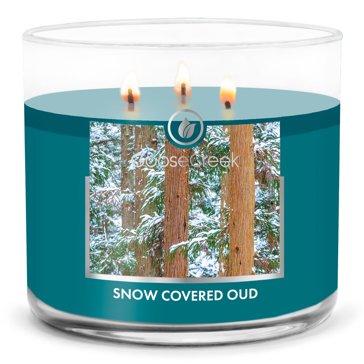 Load image into Gallery viewer, Snow Covered Oud Large 3-Wick Candle
