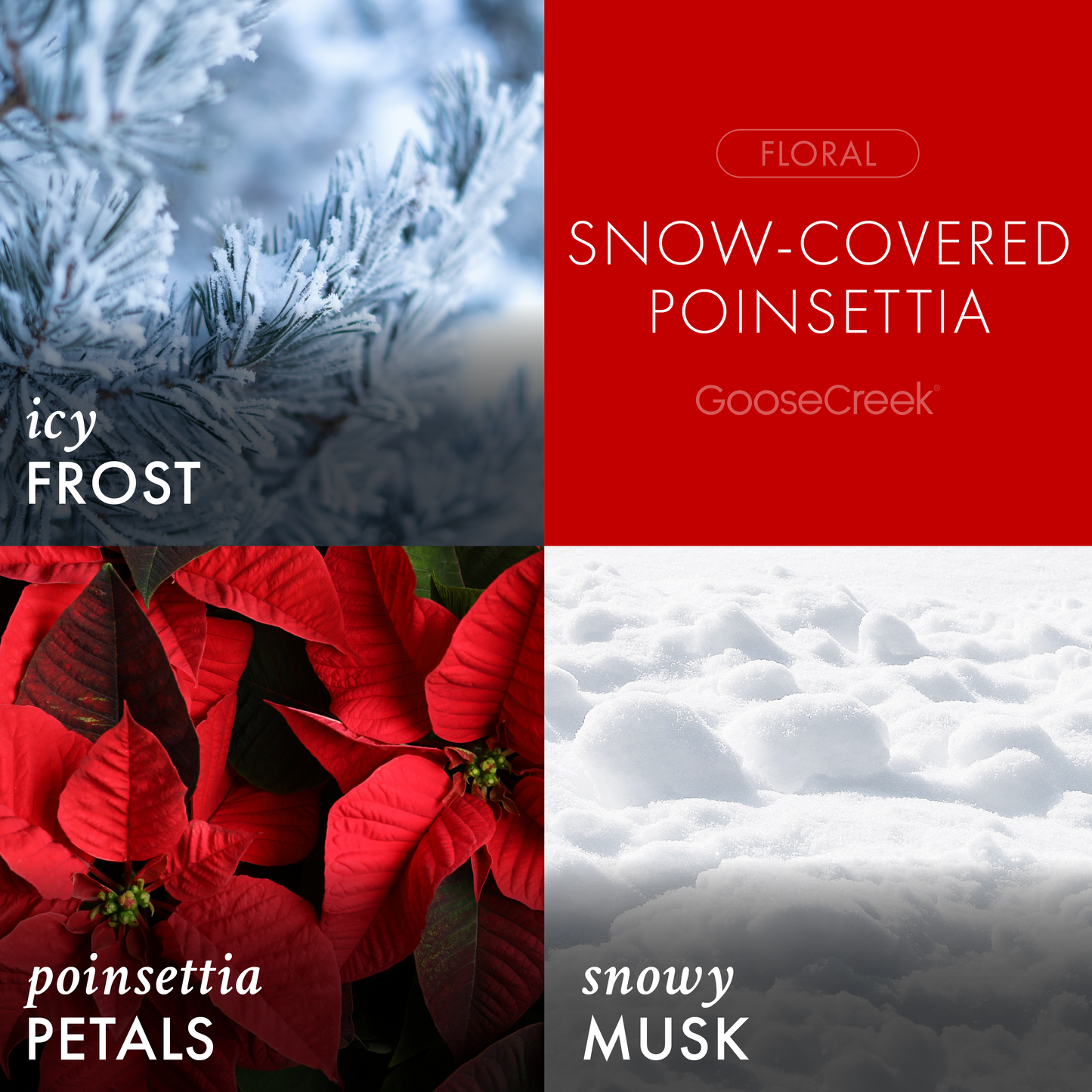 Snow-Covered Poinsettia 3-Wick Candle