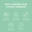 Load image into Gallery viewer, Snowy Branches 3-Wick Candle
