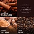 Load image into Gallery viewer, Sparkling Cinnamon 3-Wick Candle
