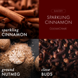 Load image into Gallery viewer, Sparkling Cinnamon 3-Wick Candle
