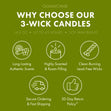 Spiced Apple Harvest Large 3-Wick Candle
