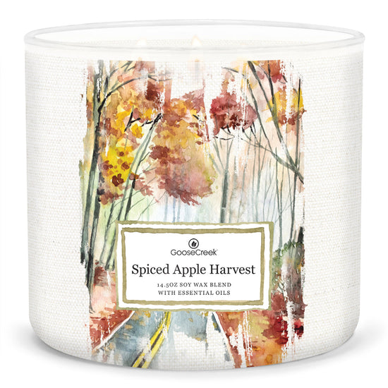 Load image into Gallery viewer, Spiced Apple Harvest Large 3-Wick Candle
