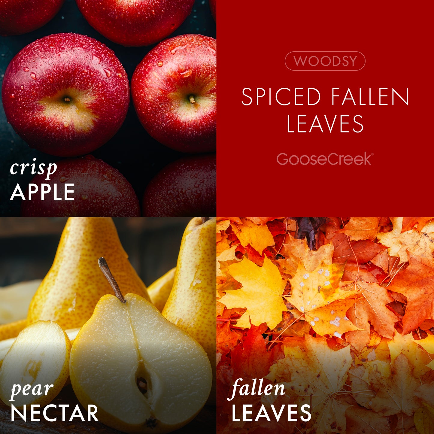 Spiced Fallen Leaves 3-Wick Candle
