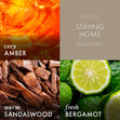 Load image into Gallery viewer, Staying Home Plug-In &amp;amp; Refill Bundle
