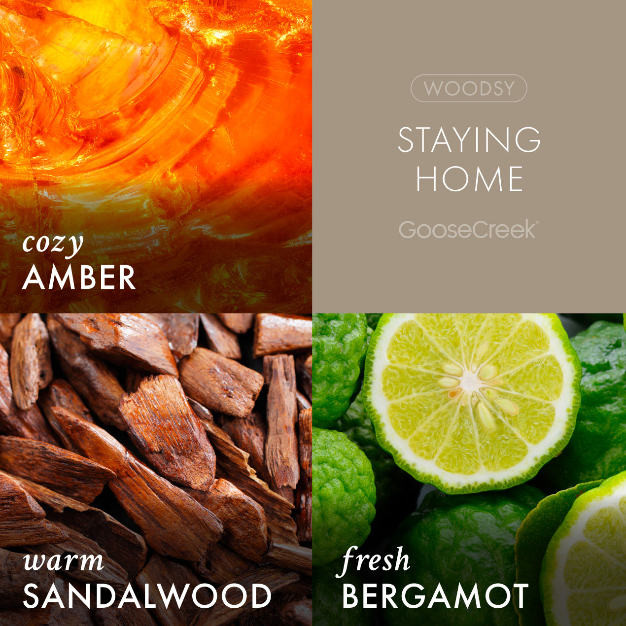 Staying Home Plug-in Refill