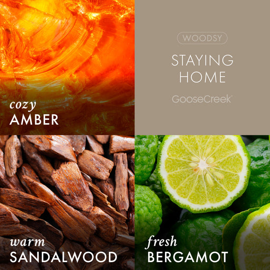 Staying Home Plug-in Refill