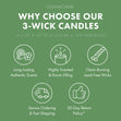 Load image into Gallery viewer, Strawberry Shortcake Limited Edition Collector&amp;#39;s Box - Includes Nine 3-Wick Candles
