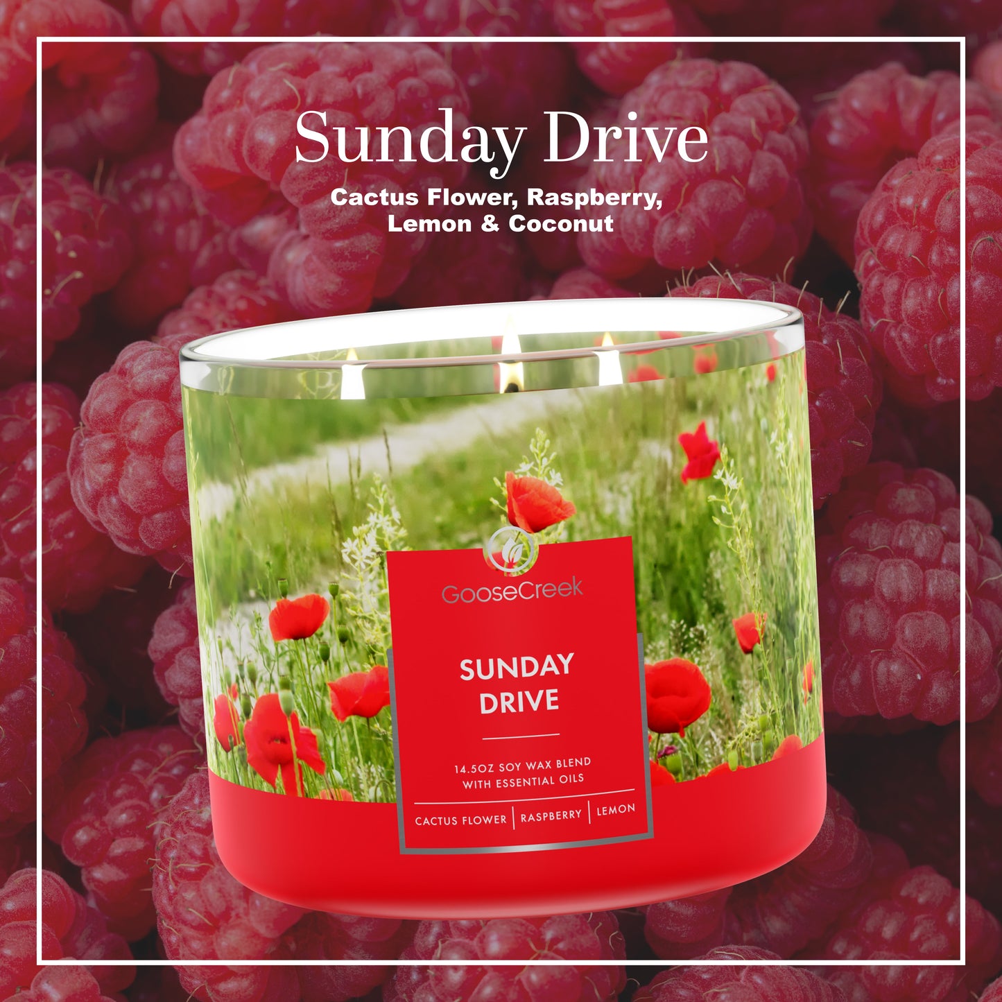 Sunday Drive 3-Wick Candle