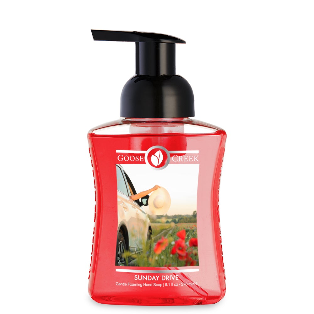 Load image into Gallery viewer, Sunday Drive Lush Foaming Hand Soap
