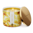 Sunlit Forest 3-Wick Candle