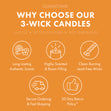 Sunlit Forest 3-Wick Candle