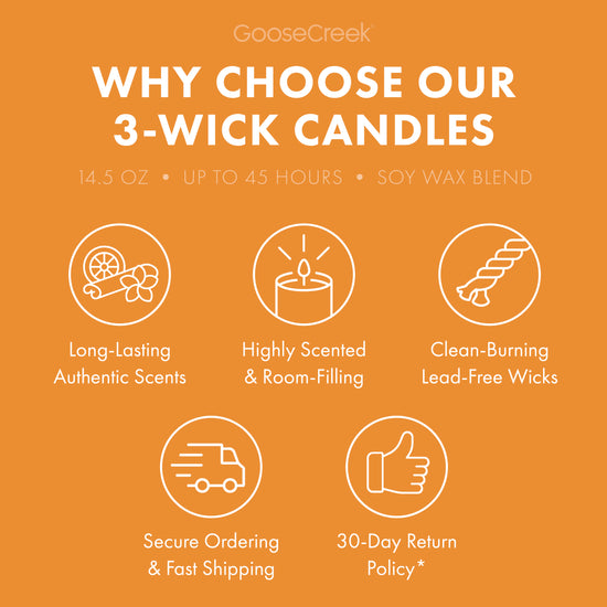 Sunlit Forest 3-Wick Candle