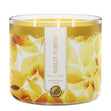 Load image into Gallery viewer, Sunlit Forest 3-Wick Candle
