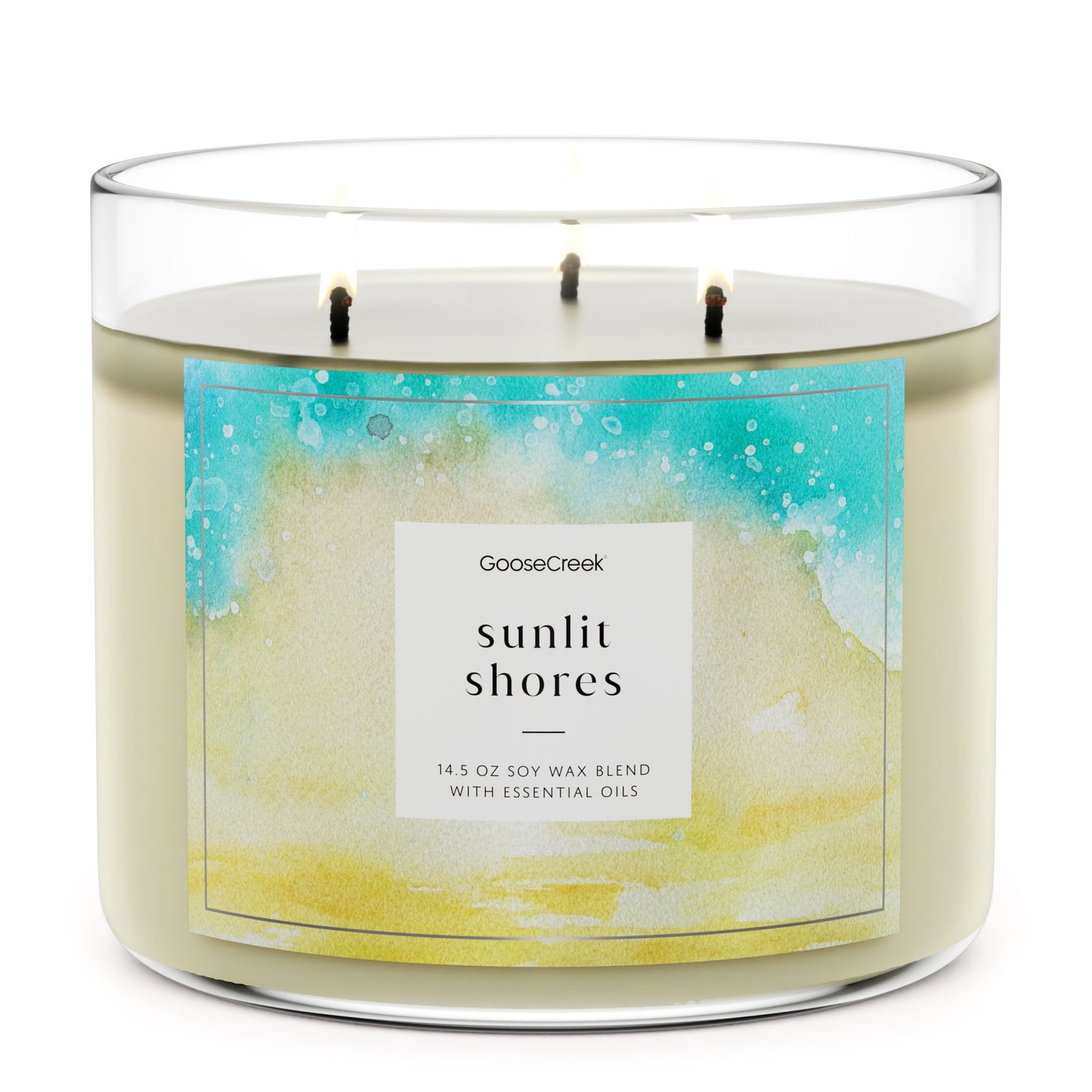 Load image into Gallery viewer, Sunlit Shores Large 3-Wick Candle
