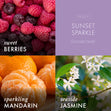 Load image into Gallery viewer, Sunset Sparkle Lush Foaming Hand Soap
