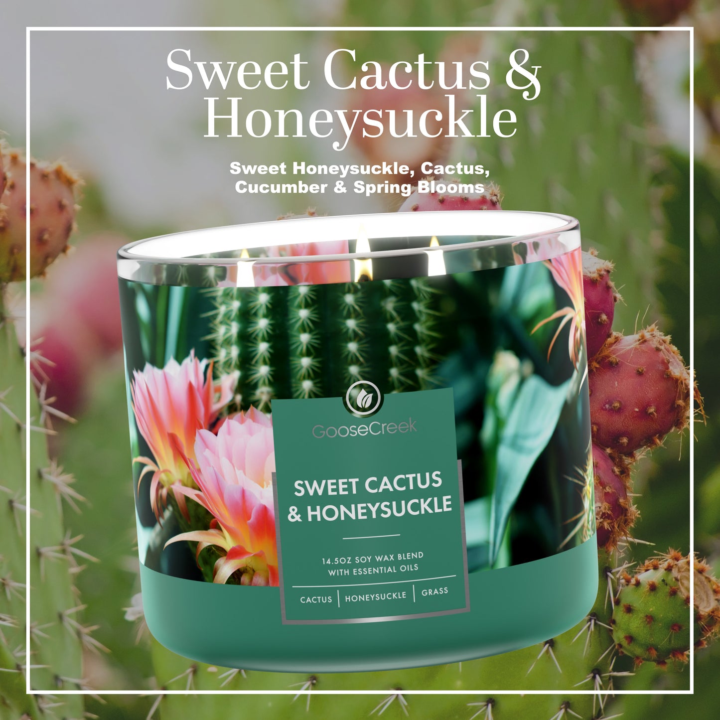 Sweet Cactus & Honeysuckle Large 3-Wick Candle