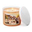 Load image into Gallery viewer, Sweet Shop Belgium Large 3-Wick Candle
